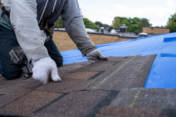 Best Roof Gutter Cleaning  in Lakewood Clu, MI