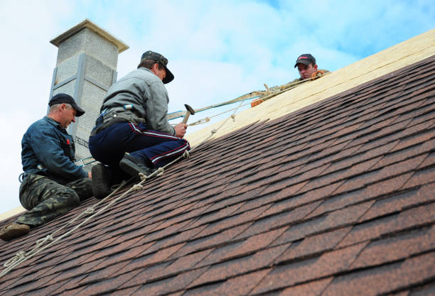 Best Metal Roofing Contractor  in Lakewood Clu, MI